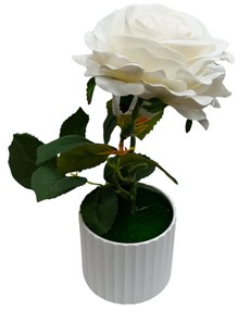 Floare decorativă în ghiveci trandafir alb
