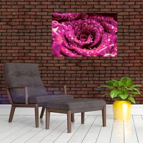 Tabloul cu floarea trandafirului roz (90x60 cm)