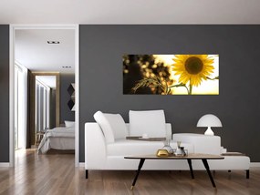 Tablou cu floarea soarelui (120x50 cm)