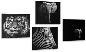 Set tablouri animale în stilul alb-negru
