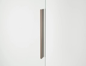 Usa culisanta de dus in nisa, 1600 mm, champagne metal, doua elemente, Ronal Oriana Champagne metal, 1600 mm