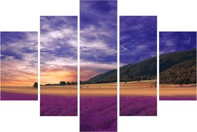 Tablou cu lunca cu lavandă (150x105 cm)