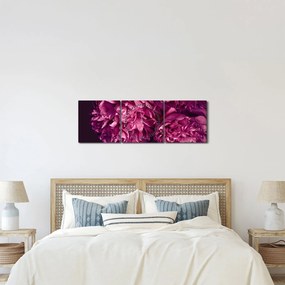 Tablou - Floarea bujorului (cu ceas) (90x30 cm)