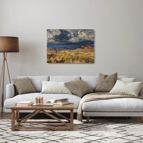 Tablou pe sticlă - cactușii în natură (70x50 cm)
