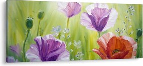 Tablou - Maci (120x50 cm)