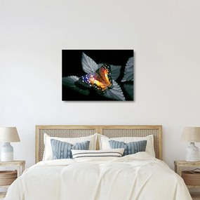 Tablou pe sticlă cu fluture (70x50 cm)