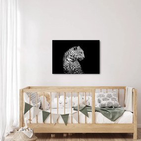 Tablou - Leopardul (70x50 cm)