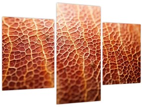 Tablou - Detaliu de textură (90x60 cm)