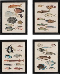 Set 4 tablouri, Louis Renard