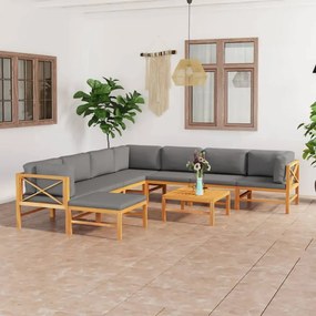 3087235 vidaXL Set mobilier grădină cu perne gri, 9 piese, lemn masiv de tec