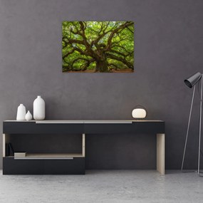 Tablou pe sticlă - Copac verde (70x50 cm)