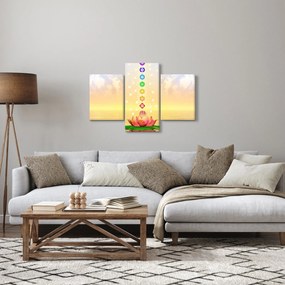 Tablou - Chakrele (90x60 cm)