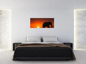 Tablou cu elefant în apus de soare (120x50 cm)
