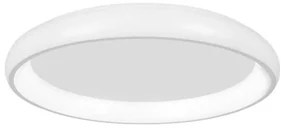 Plafoniera LED moderna design slim 61cm ALBI alba NVL-8105606 D