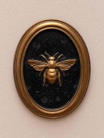 Set 4 tablouri polyrasina cu insecte " Entomology "