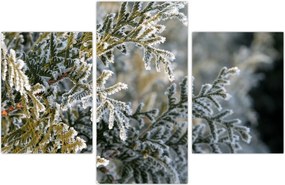 Tablou - Detaliu ramură (90x60 cm)