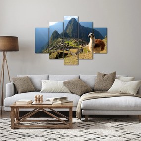 Tablou - Lama și Machu Picchu (150x105 cm)