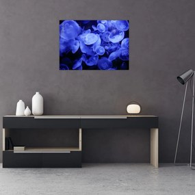 Tablou pe sticlă - Meduză (70x50 cm)
