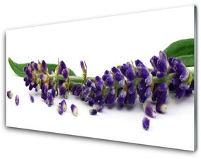 Tablouri acrilice Petale Floral Verde Violet