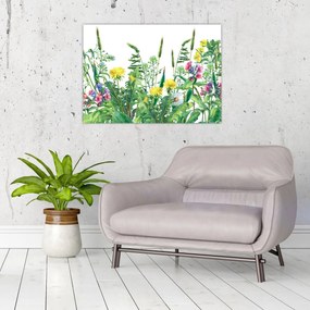 Tablou pe sticlă - Flori de pajiște pictate (70x50 cm)