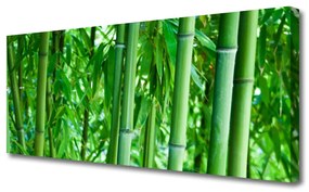 Tablou pe panza canvas Bamboo Peduncul Floral Verde