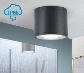 Spot LED aplicat cu protectie la umiditate IP65, SPUTNIK 14,5cm, negru