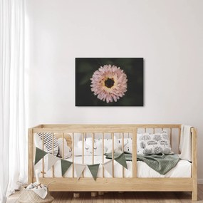 Tablou cu floare portocalie (70x50 cm)