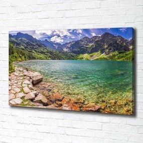Print pe pânză Marine ochi tatry
