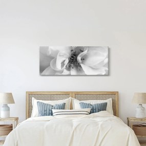 Tablou - Floare,alb-negru (120x50 cm)