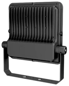 Proiector LED PROFI PLUS LED/100W/230V 5000K