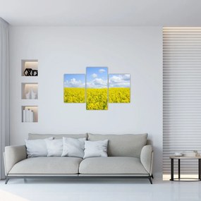 Tablou - Câmp galben (90x60 cm)
