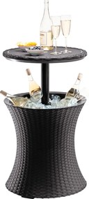 Masă de grădină cu frapieră rotundă 49.5x49.5 cm Cool – Keter