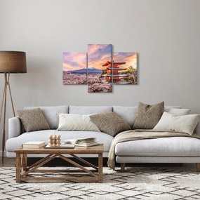 Tablou - Fuji (90x60 cm)