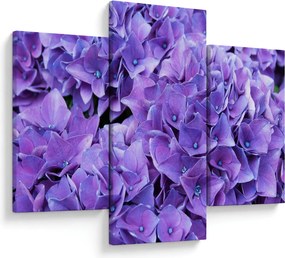 Tablou cu flori violete (90x60 cm)