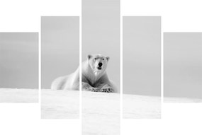 Tablou - Urs polar,alb-negru (150x105 cm)