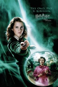 Poster de artă Harry Potter - Hermione Granger