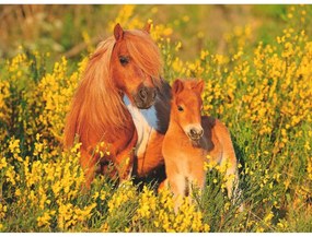 PUZZLE PONEI, 100 PIESE - RAVENSBURGER (13283)