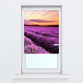Fotojaluzele R012174R42150 (42x150 cm)