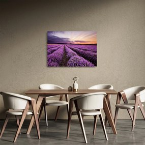 Tablou pe sticlă - Câmp de lavandă la apus de soare (70x50 cm)