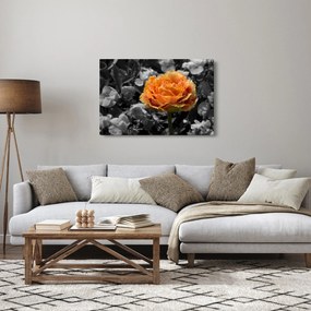 Tablou cu floare (90x60 cm)