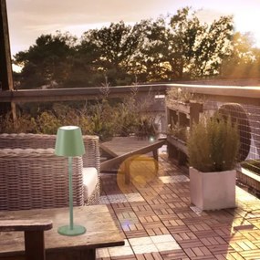 Lampă LED reîncărcabilă de exterior Leuchten Direkt 19250-43 EURIA LED/3W/5V IP54