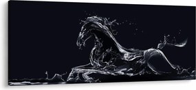Tablou - Cal și apă (120x50 cm)