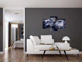 Tablou cu fructe cu picături de apă (90x60 cm)
