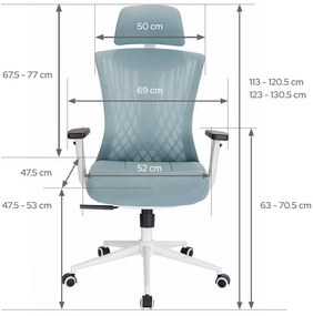 Scaun rotativ ergonomic de birou Ergomax, patină