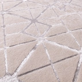 Covor roz-argintiu 170x120 cm Aurora - Asiatic Carpets