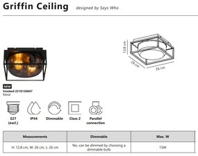 Plafoniera exterior IP44 design modern Griffin Smoked