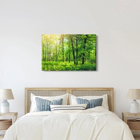 Tablou - Pădurea cu frunze de primăvară (90x60 cm)