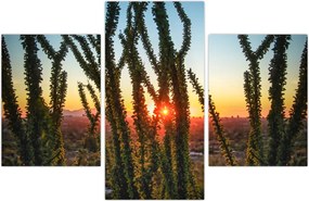 Tablou - Plante (90x60 cm)