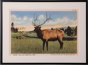 Tablou decorativ, cu rama din rasina, Deer Postcard