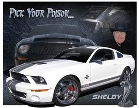 Placă metalică Shelby Mustang - You Pick
